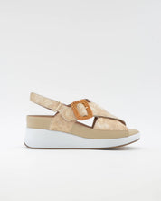 SANDALIA CRUZADA CUÑA PLANTILLA EXTRAIBLE MUJER DOS VELCROS AD.HEBILLA ANCHO ESPECIAL COLOR GRIS PIE SANTO 260383