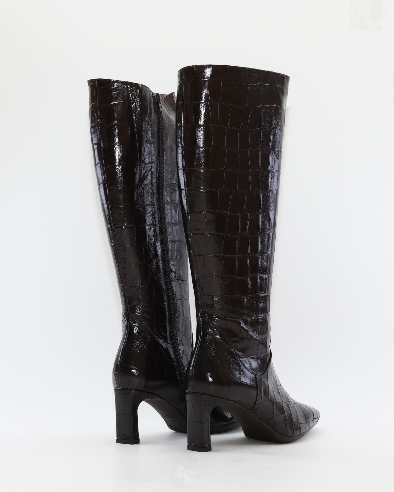 BOTA ALTA MUJER PIEL COCO MARRÓN CHOCOLATE WONDERS M-6305 MISOURI TESTA